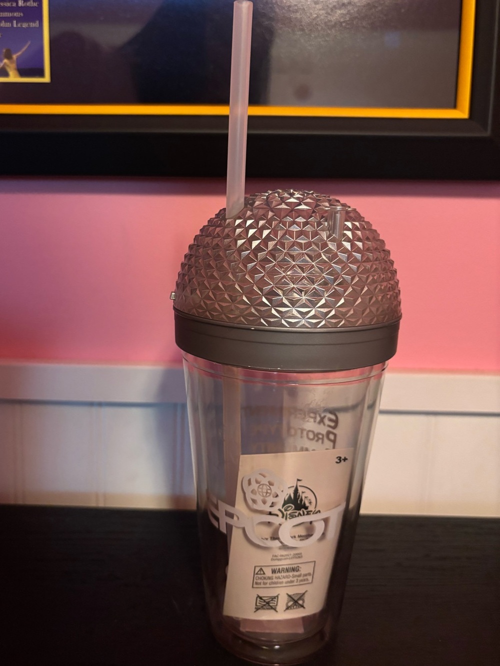Epcot Cup with Straw - Clear and Metallic Silver